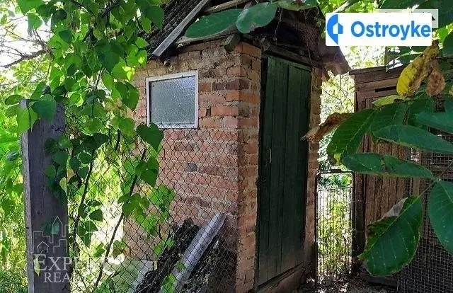 Ярослава Мудрого — фото 5