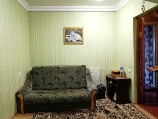 Продам 3х комн. двухуровневую квартиру в коттедже на Космосе — фото 3
