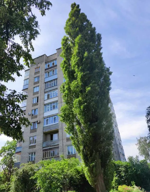 Квартира на улице Огарева пер. в городе Сумы — фото 1