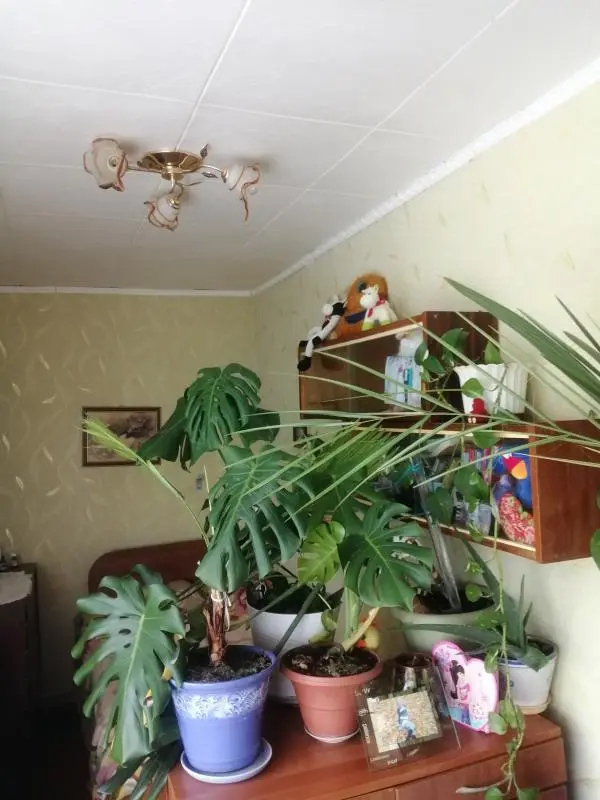 Квартира на улице Вовчок Марко в городе Сумы — фото 3