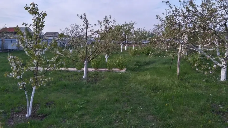 Земельна ділянка 31 сотка в Рогозові — фото 3