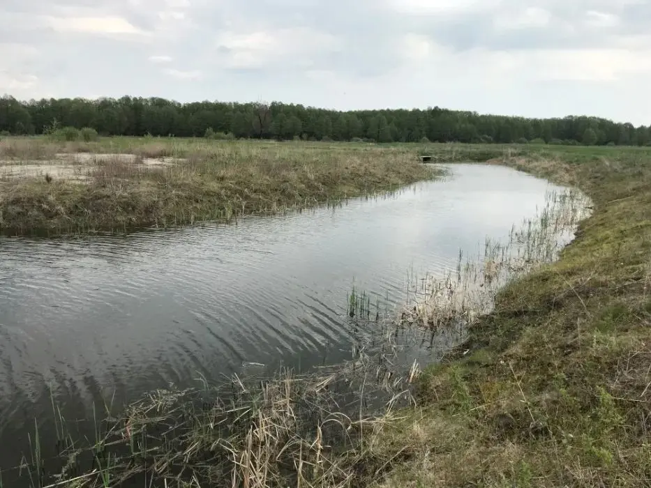 Земельна ділянка 1га з озером біля заповідника с.Літочки — фото 2