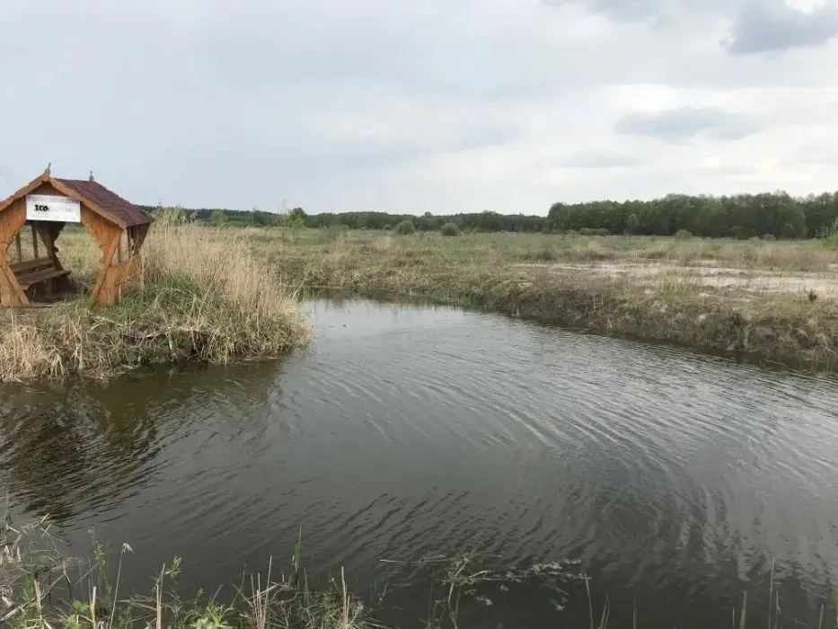 Земельна ділянка 1га з озером біля заповідника с.Літочки — фото 3