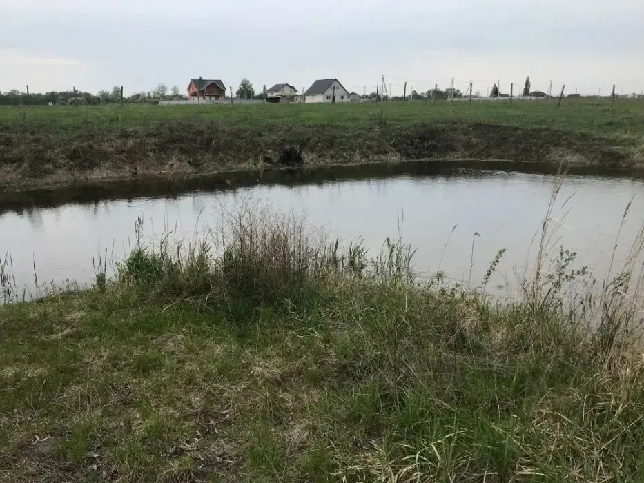 Земельна ділянка 1га з озером біля заповідника с.Літочки — фото 4
