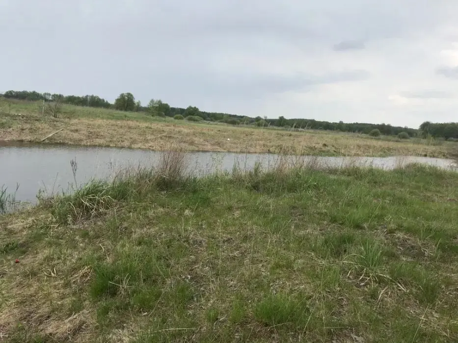 Земельна ділянка 1га з озером біля заповідника с.Літочки — фото 5