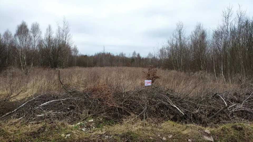 Продам ділянку (під забудову), с. Липники (Пустомити) — фото 2