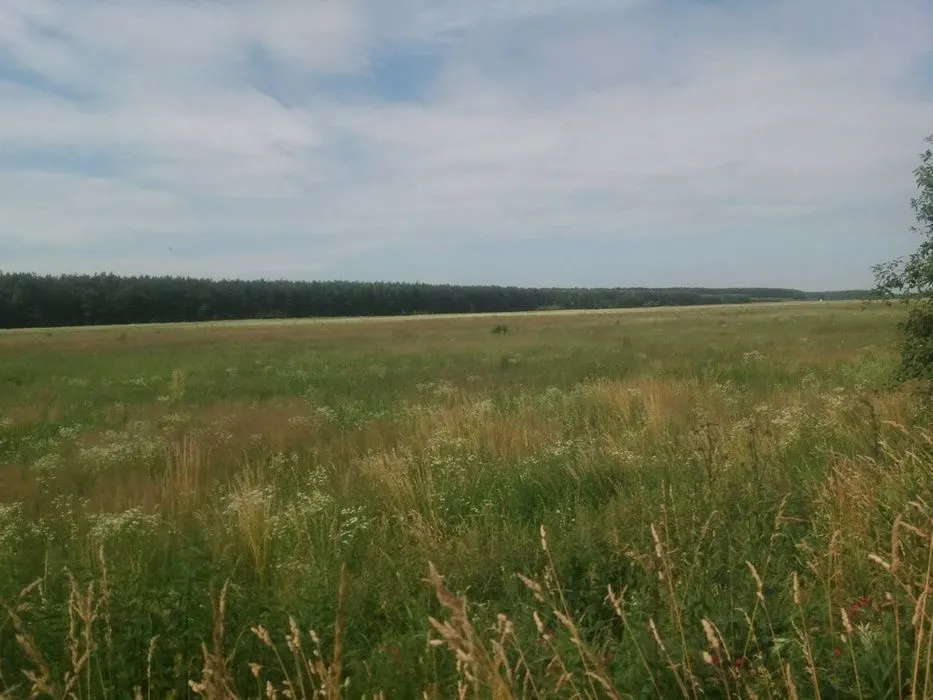 Продам земельну ділянку 9 сот с. Сидинівка — фото 1