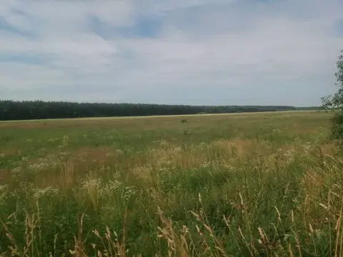 Продам земельну ділянку 9 сот с. Сидинівка