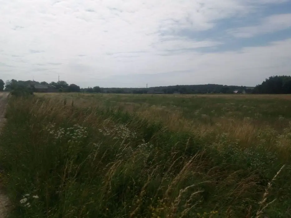 Продам земельну ділянку 9 сот с. Сидинівка — фото 2