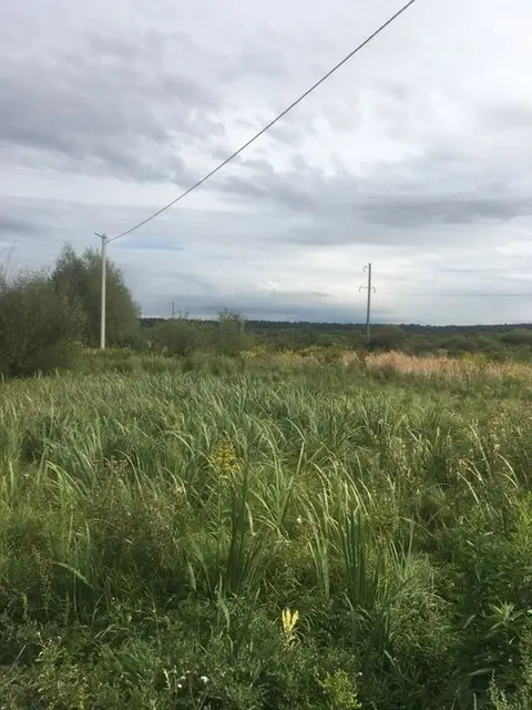 Земельна ділянка с. Бірки 12 сот