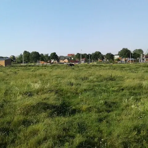 Продаж землі в с. Гамаліївка