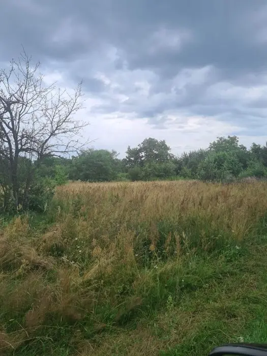 Продаж земельної ділянки в Рудно, вул. Шевченка — фото 3