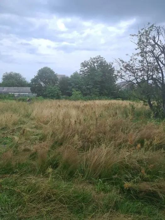 Продаж земельної ділянки в Рудно, вул. Шевченка — фото 2