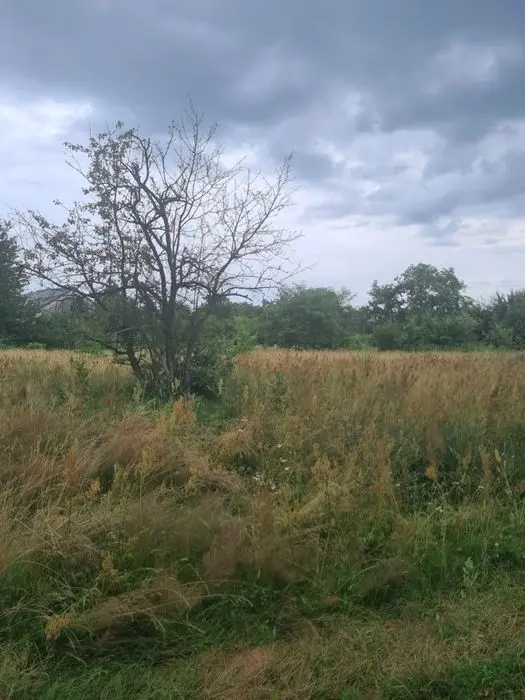 Продаж земельної ділянки в Рудно, вул. Шевченка — фото 4