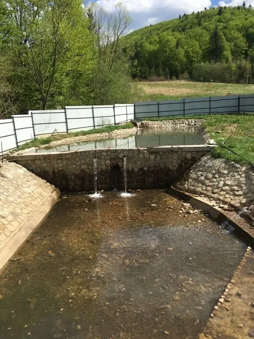 Стави озера ФОРЕЛЬ — фото 1