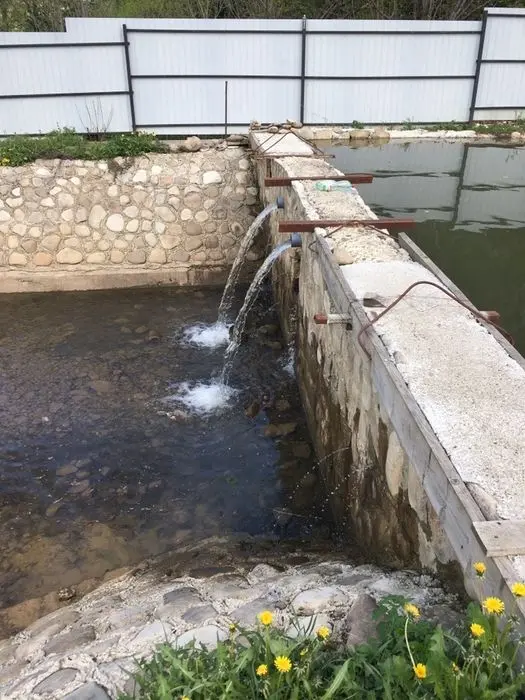 Стави озера ФОРЕЛЬ — фото 3