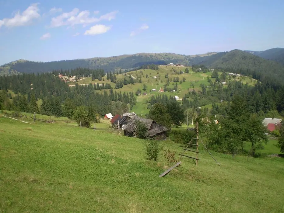 Продаж землі в Карпатах — фото 2