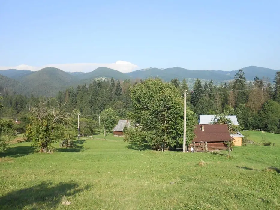 Продаж землі в Карпатах — фото 4