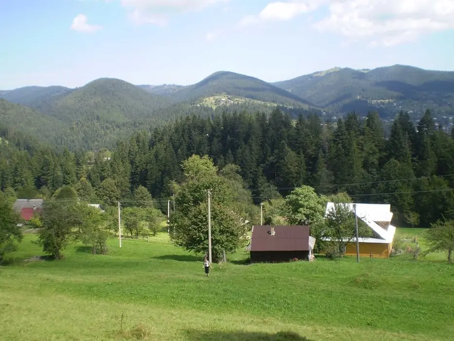 Продаж землі в Карпатах — фото 3