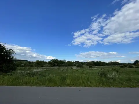 Земельна ділянка 24 сот с. Семенівка