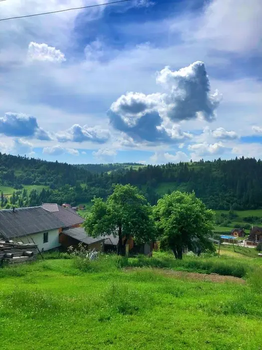 Продаж будинку із земельною ділянкою с. Плав‘я — фото 2