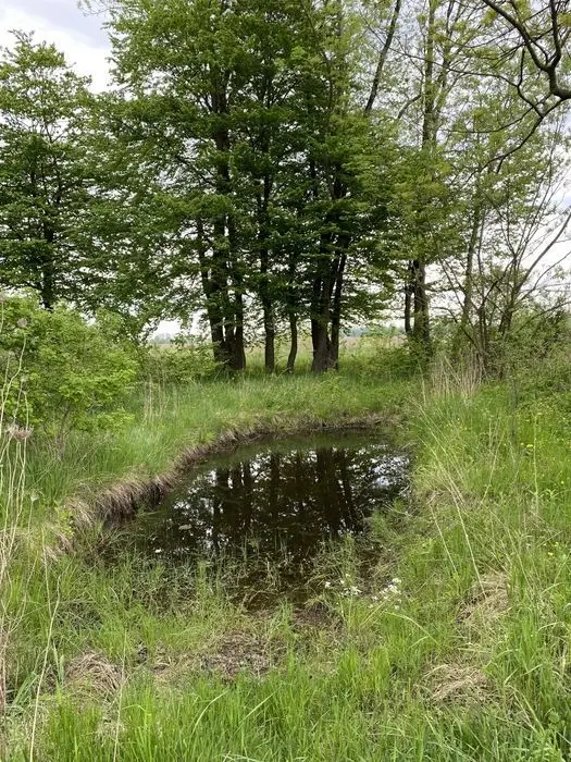 ПроПродам будинок з ділянкою с. Корнелівка — фото 3