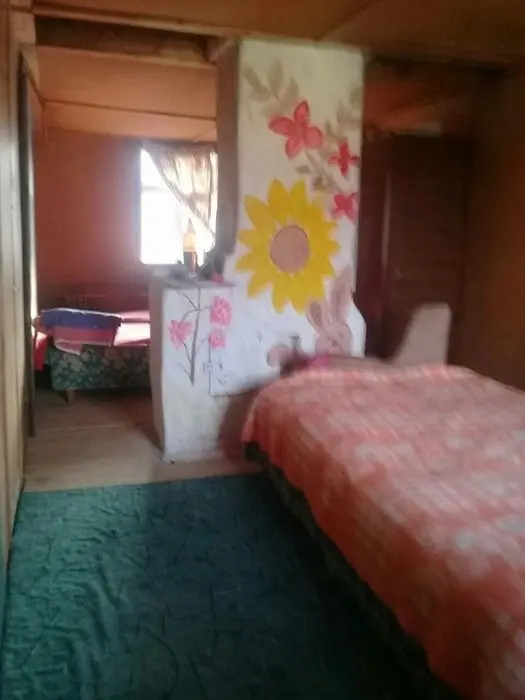 Продам дачний будинок — фото 5