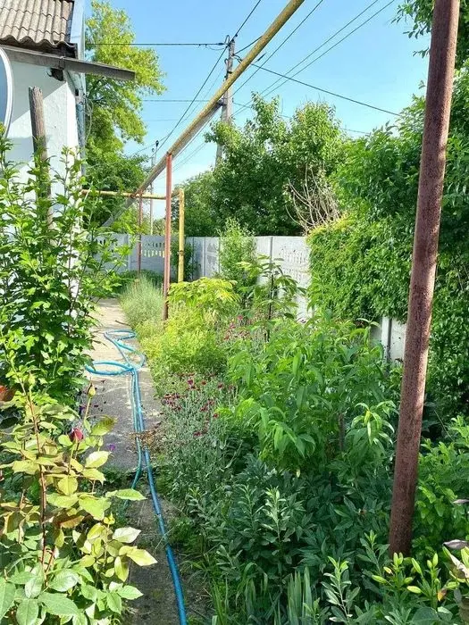 Продам дом Каховка — фото 3