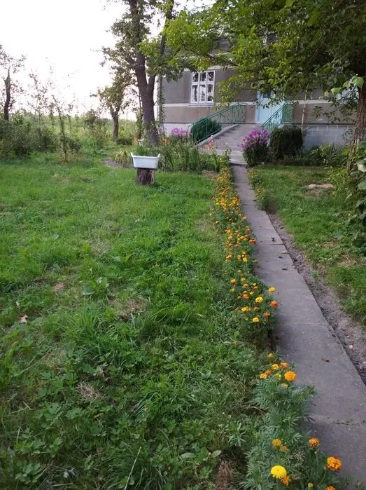 Продаж будинку і землі (Рогатин, село Колоколин) — фото 3