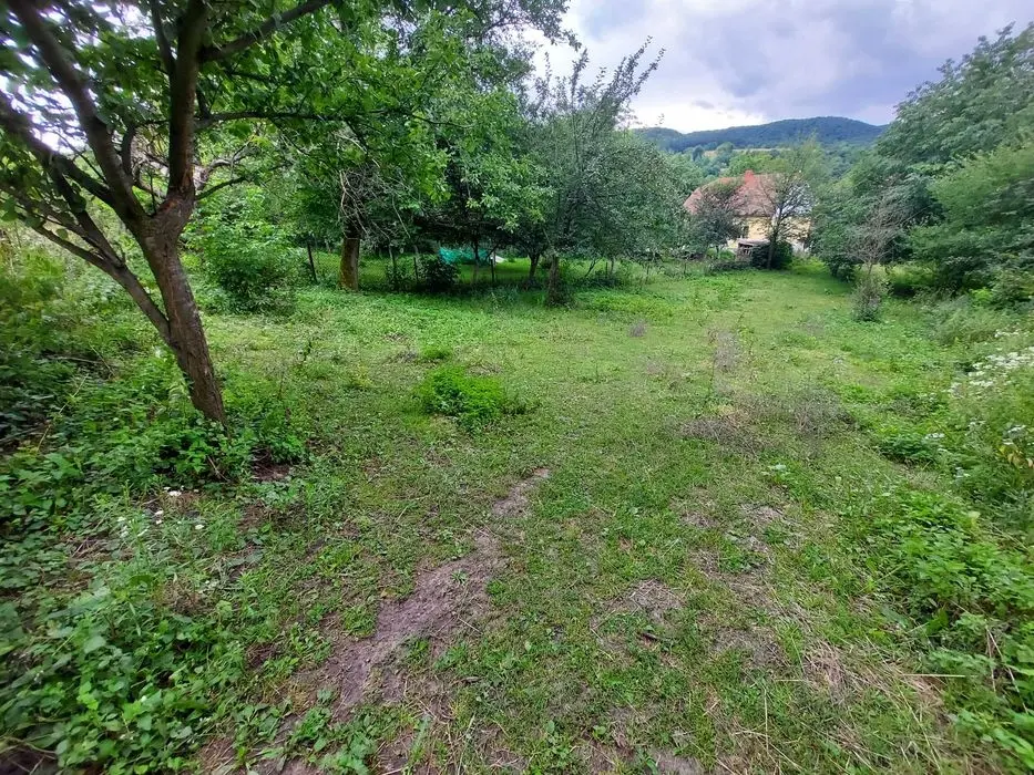 Продам будинок в Романів — фото 3