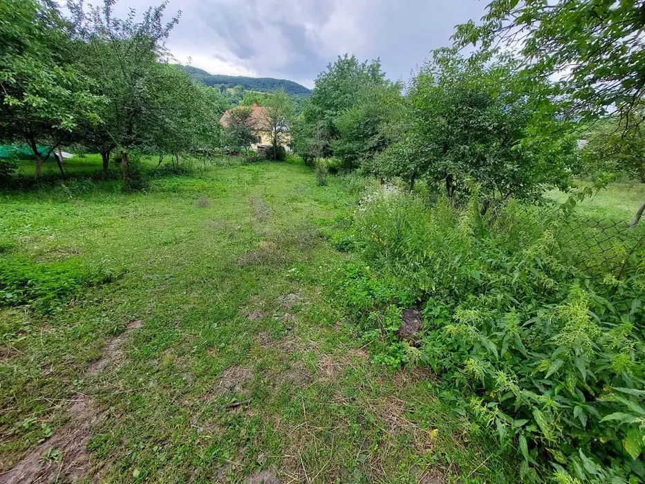 Продам будинок в Романів — фото 2