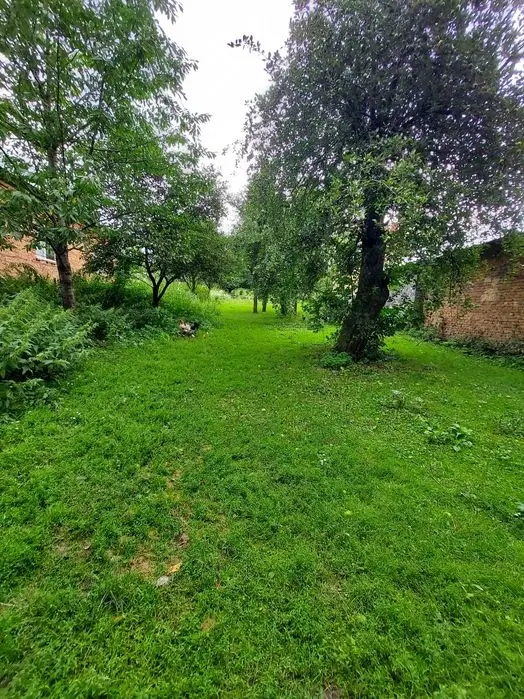 Продам будинок в Романів — фото 5