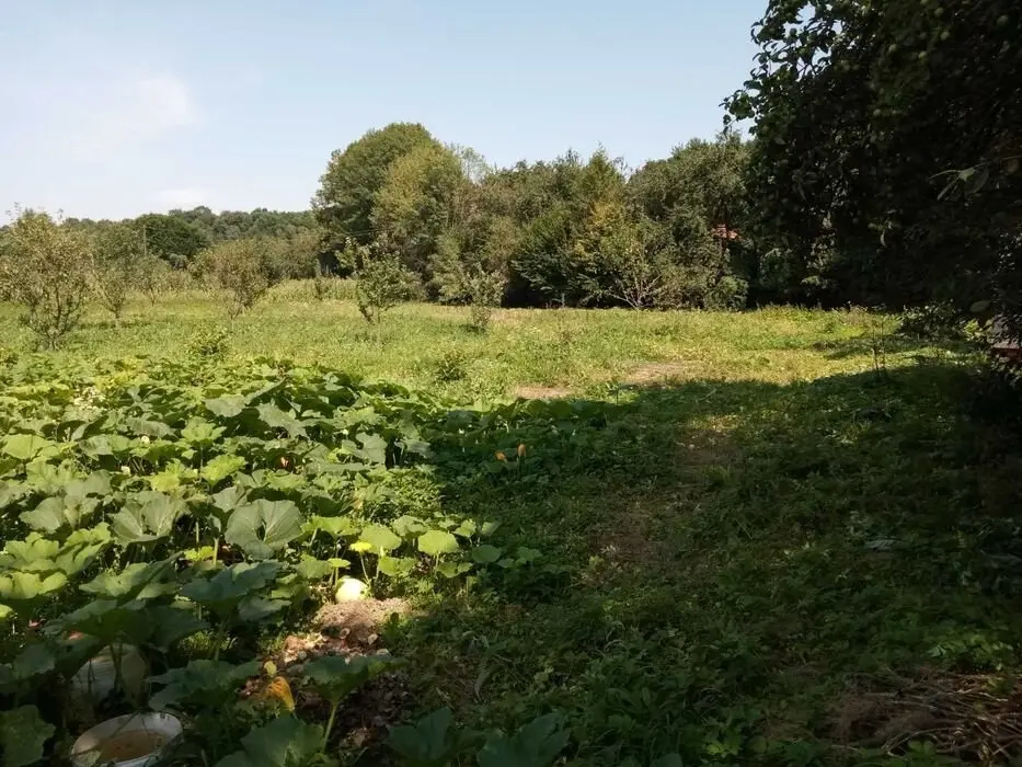 Продам земельну ділянку,35соток,с.Спас — фото 2