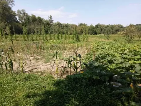 Продам земельну ділянку,35соток,с.Спас