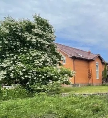 Усадьба под Киевом — фото 1