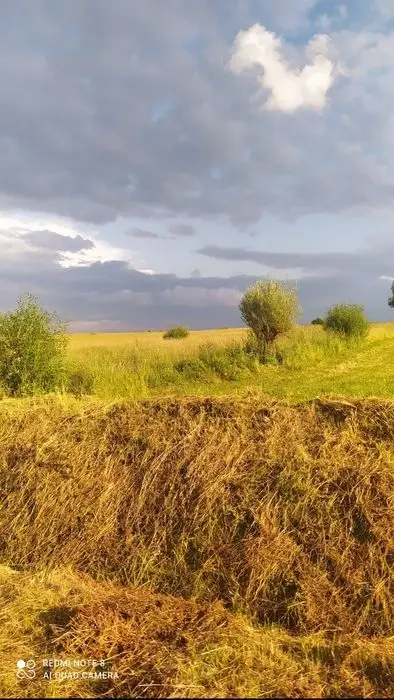 Земельна ділянка0.06
