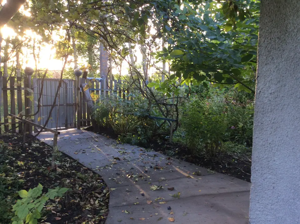 Продам дом с участком и землей 1,05 ГА в селе Баглаи — фото 2