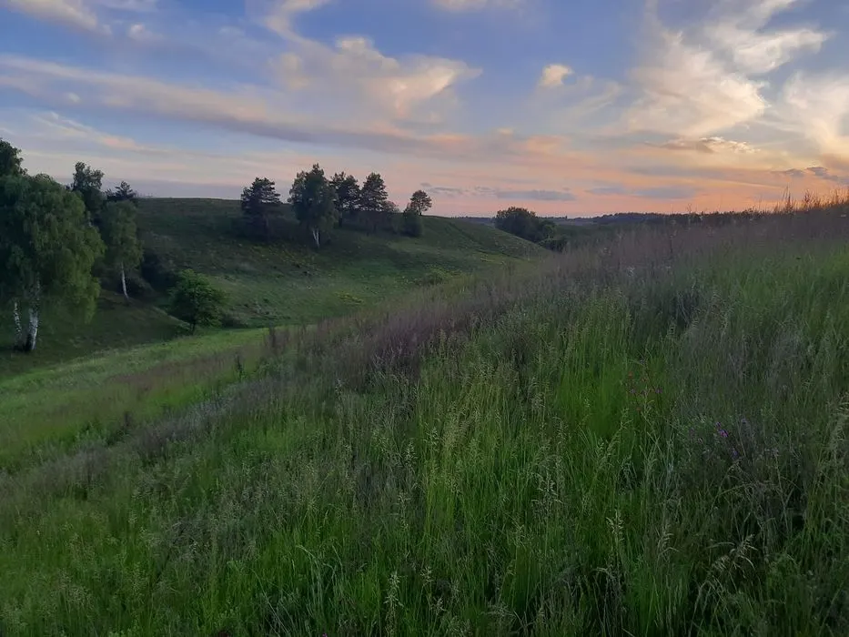 Продаж землі в с.Велика Бугаївка — фото 1