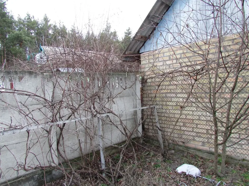 Продажа земли в д.Шибеное — фото 4