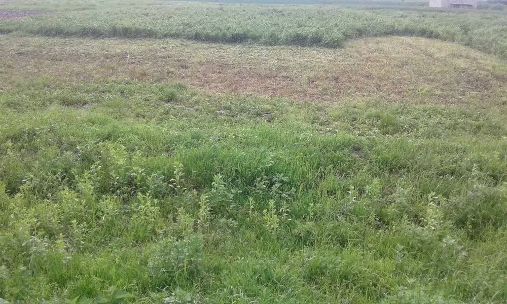 Продам земельну ділянку в с.Чижиків — фото 1