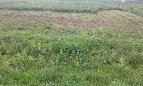 Продам земельну ділянку в с.Чижиків