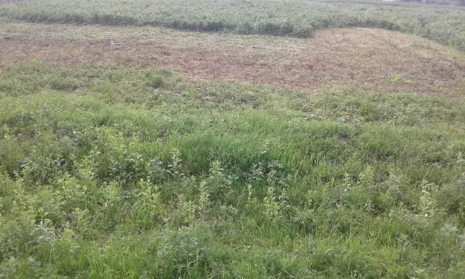 Продам земельну ділянку в с.Чижиків — фото 2