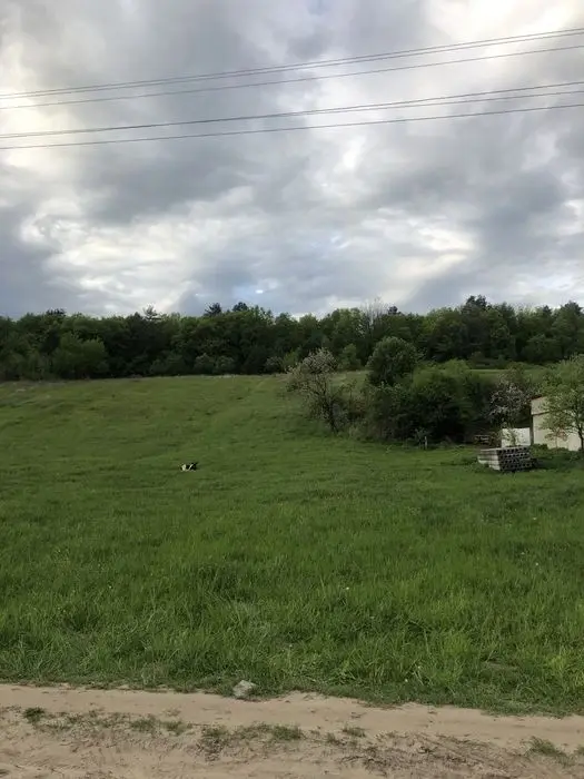 Продаж земельної ділянки в с.Верхня Білка — фото 3