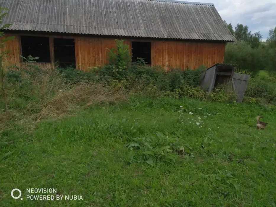Продаж землі з будинком в с.Лоєва — фото 4