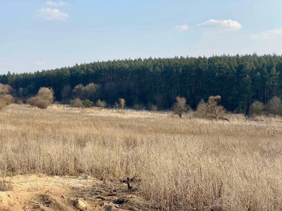 Земельна ділянка в с. Солуки — фото 3