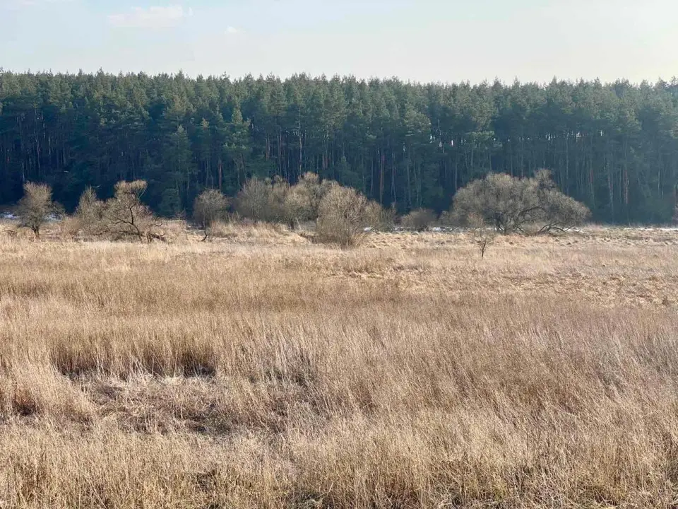 Земельна ділянка в с. Солуки — фото 4