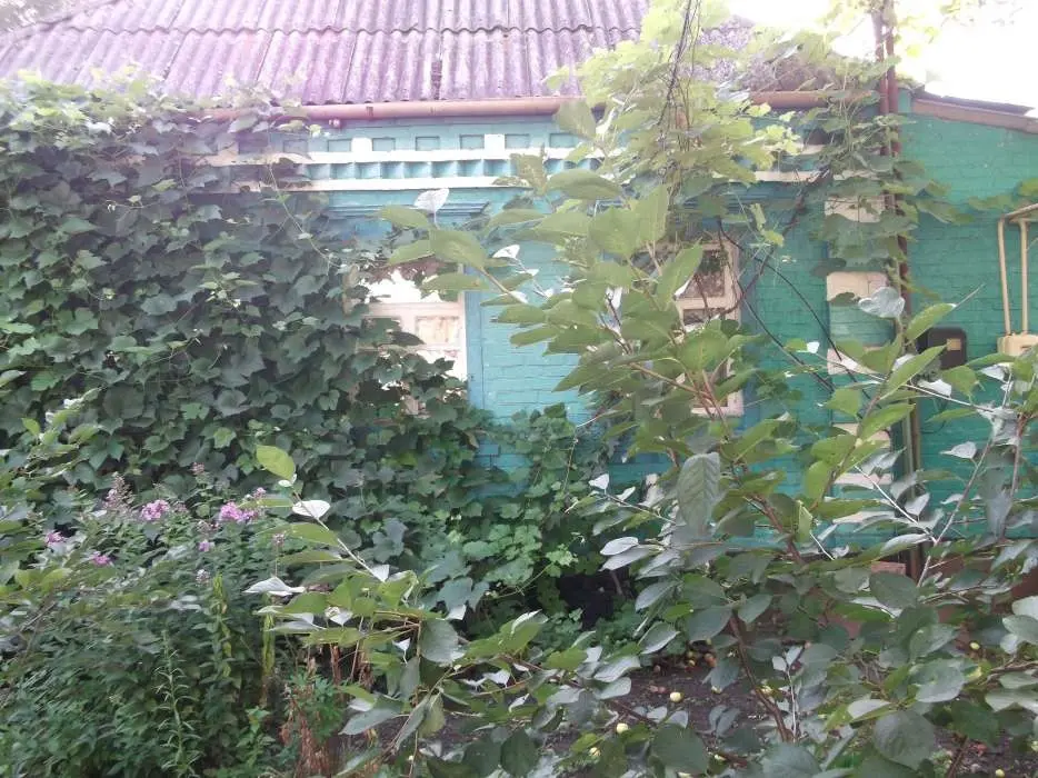 Продам дом в с. Гавриловка — фото 5