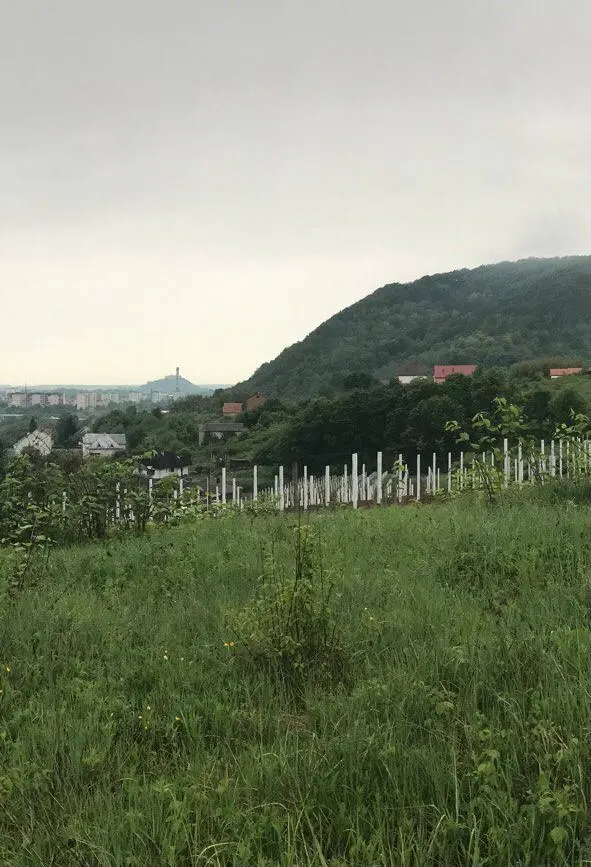 Земельна ділянка під забудову з краєвидом на гори та з документами. — фото 1