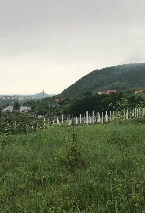 Земельна ділянка під забудову з краєвидом на гори та з документами.