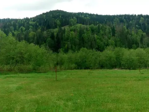 Земельна ділянка (Карпати)